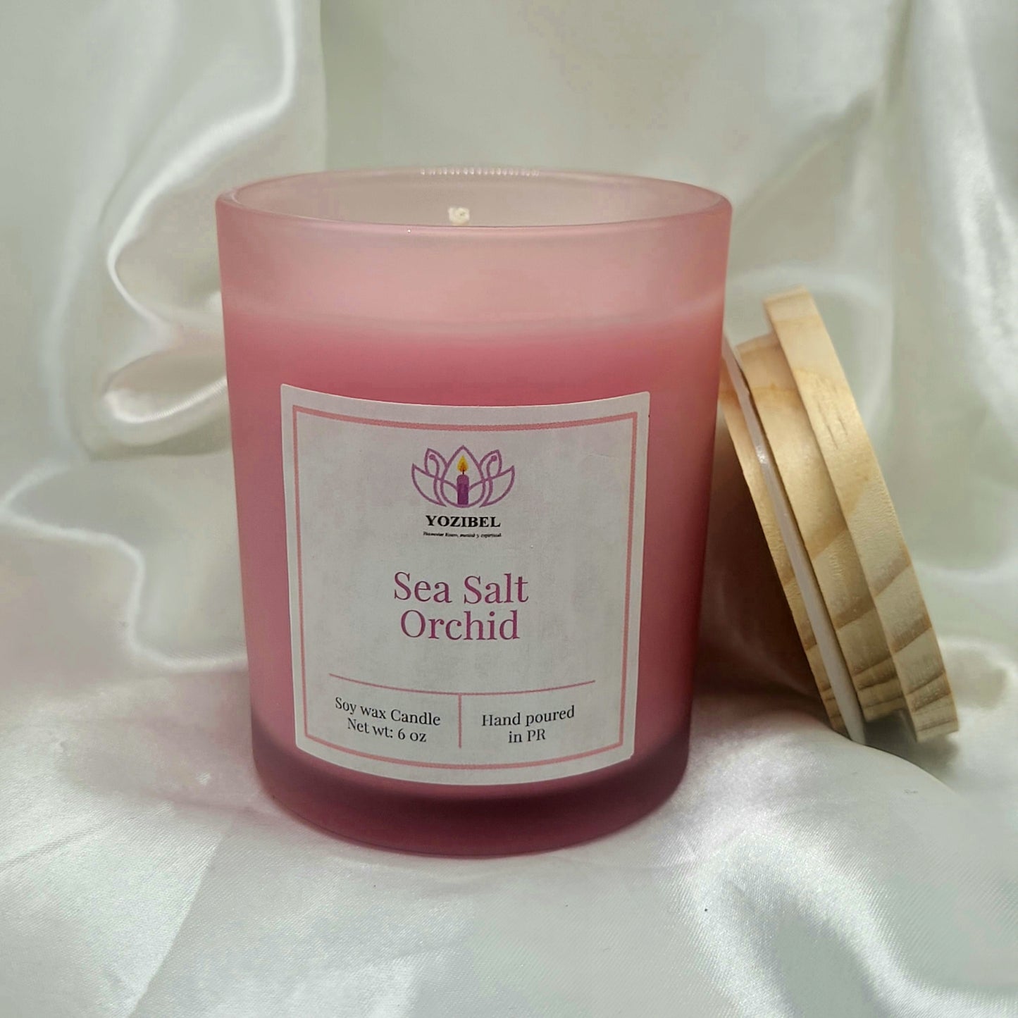 ☀️Sea Salt Orchid 🌸